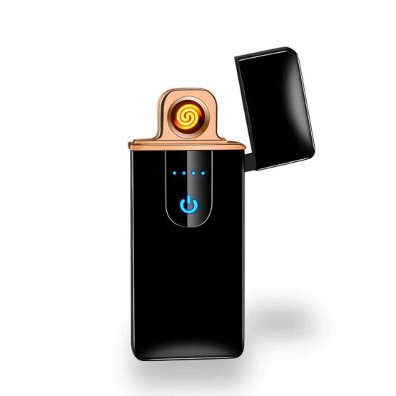 Briquet électrique